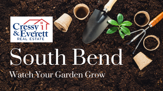 Gardening Tips & Supplies - Cressy & Everett Real Estate